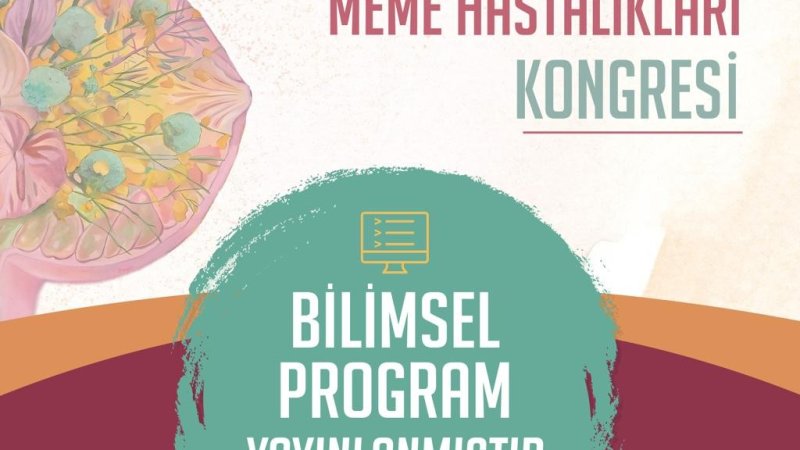 türkiye,meme,dernekler,federasyon